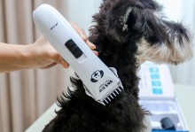 宠物美容师神器-宠物美容工具有哪些怎么正确使用