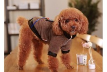 狗狗宠物衣服-宠物狗狗衣服制作图解
