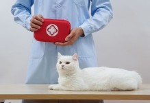 宠物医疗分为-宠物医疗分为几类
