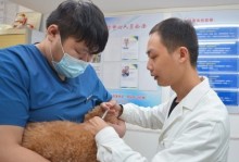 宠物诊所可否打疫苗-宠物诊所可否打疫苗接种