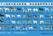 沈阳禁养犬-沈阳禁养犬类名单