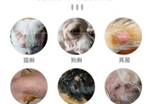 宠物脸部真菌-宠物得真菌性皮肤病如何治疗