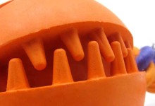 宠物玩具橡胶磨牙骨-宠物玩具橡胶磨牙骨怎么用
