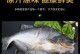 公鱼是什么鱼-烤鱼店的湄公鱼是什么鱼