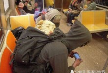 地铁可以带宠物猫吗-地铁可以带宠物猫吗有猫包