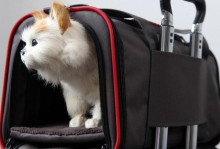 自制宠物携带包-自制外出便携宠物背包