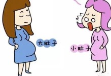怀孕肚子变化-怀孕肚子变化过程视频 四胞胎