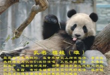 大熊猫资料简介-大熊猫资料简介40字