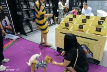 广州宠物展示-广州宠物展览会时间表2021年