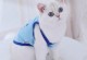 宠物猫衣服-宠物猫衣服的裁剪图