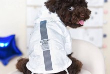 宠物犬衣服-宠物犬衣服图片