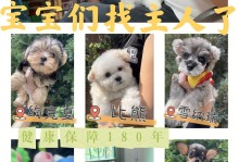 广州宠物机构-广州宠物机构排行榜