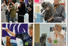 中国宠物文化-中国宠物文化协会