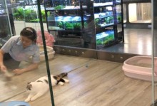 惠州比较好的宠物店-惠州哪里有大型宠物市场