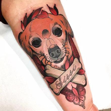 想把宠物纹身-给宠物纹身犯法吗
