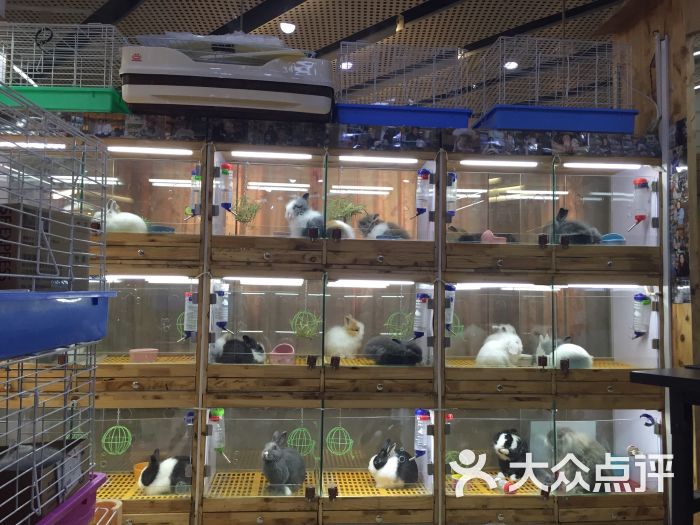 北京最大宠物用品店-北京最大宠物用品批发市场在哪