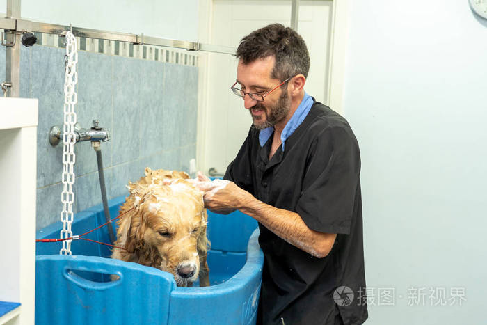 宠物洗澡师-宠物洗澡工好做吗